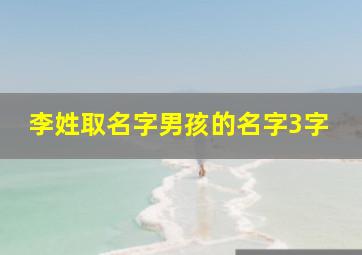 李姓取名字男孩的名字3字