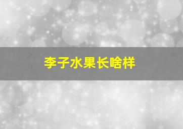 李子水果长啥样