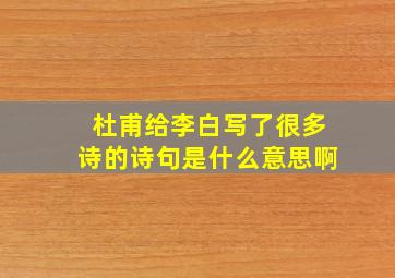 杜甫给李白写了很多诗的诗句是什么意思啊