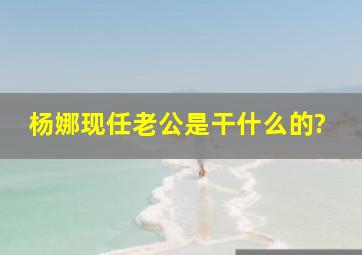 杨娜现任老公是干什么的?