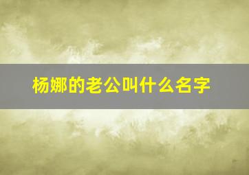 杨娜的老公叫什么名字