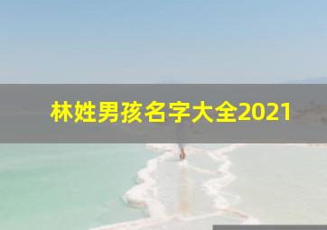 林姓男孩名字大全2021