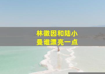 林徽因和陆小曼谁漂亮一点