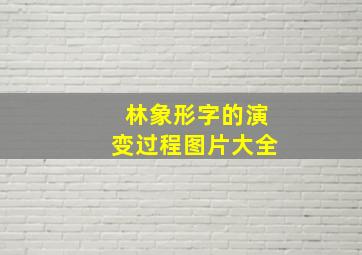 林象形字的演变过程图片大全