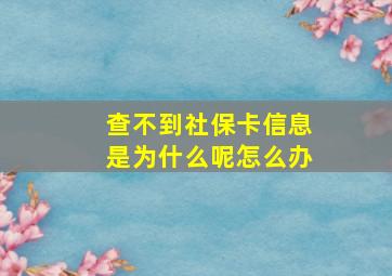 查不到社保卡信息是为什么呢怎么办