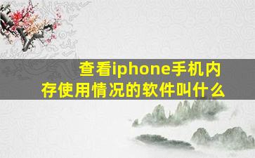 查看iphone手机内存使用情况的软件叫什么