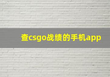 查csgo战绩的手机app