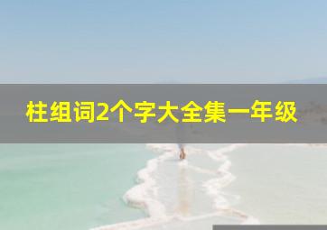 柱组词2个字大全集一年级