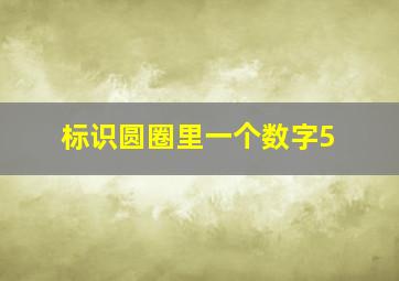 标识圆圈里一个数字5