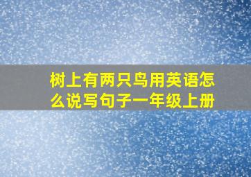 树上有两只鸟用英语怎么说写句子一年级上册