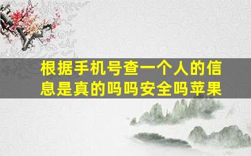 根据手机号查一个人的信息是真的吗吗安全吗苹果