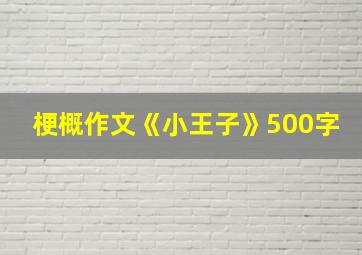 梗概作文《小王子》500字