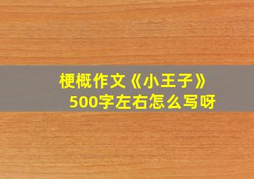 梗概作文《小王子》500字左右怎么写呀