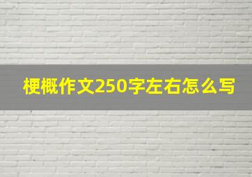 梗概作文250字左右怎么写