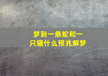 梦到一条蛇和一只猫什么预兆解梦