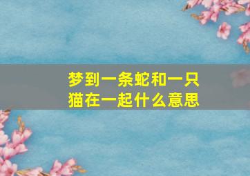 梦到一条蛇和一只猫在一起什么意思