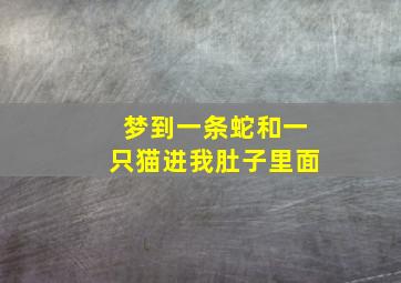 梦到一条蛇和一只猫进我肚子里面