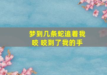 梦到几条蛇追着我咬 咬到了我的手