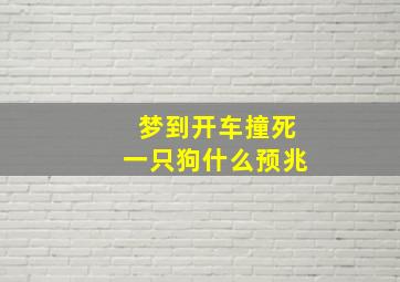 梦到开车撞死一只狗什么预兆