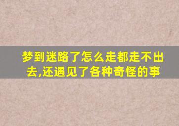 梦到迷路了怎么走都走不出去,还遇见了各种奇怪的事