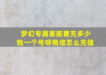 梦幻专属客服要充多少钱一个号呀微信怎么充值