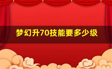 梦幻升70技能要多少级