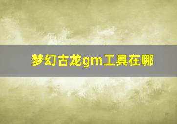 梦幻古龙gm工具在哪