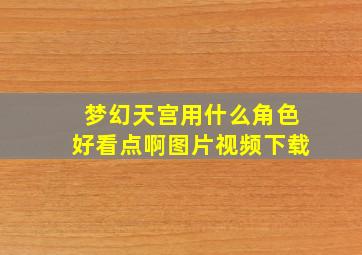 梦幻天宫用什么角色好看点啊图片视频下载