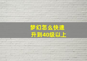 梦幻怎么快速升到40级以上