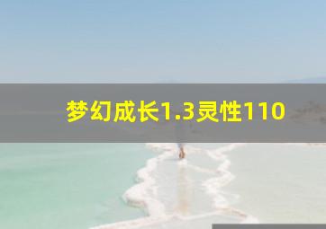 梦幻成长1.3灵性110