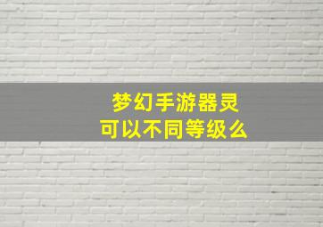 梦幻手游器灵可以不同等级么