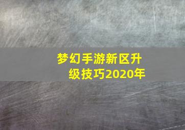 梦幻手游新区升级技巧2020年