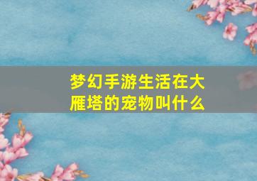 梦幻手游生活在大雁塔的宠物叫什么