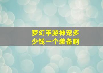 梦幻手游神宠多少钱一个装备啊