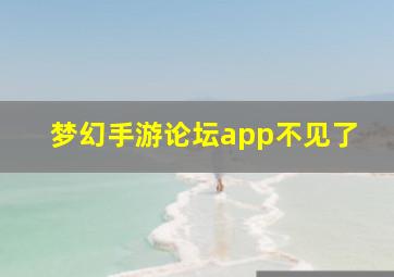 梦幻手游论坛app不见了