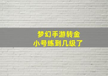 梦幻手游转金小号练到几级了