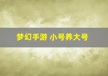 梦幻手游 小号养大号