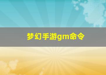 梦幻手游gm命令