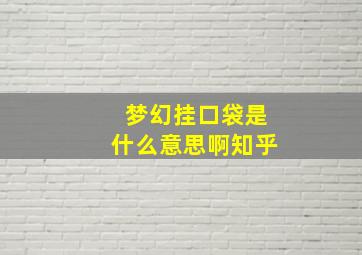 梦幻挂口袋是什么意思啊知乎