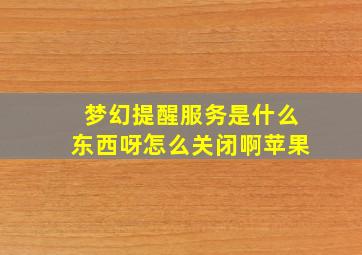 梦幻提醒服务是什么东西呀怎么关闭啊苹果