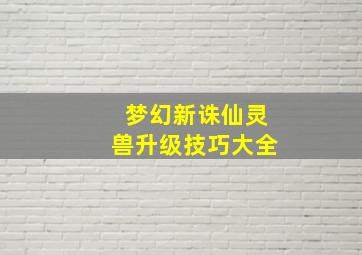 梦幻新诛仙灵兽升级技巧大全