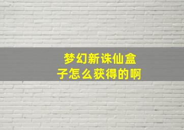 梦幻新诛仙盒子怎么获得的啊