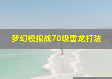 梦幻模拟战70级雷龙打法