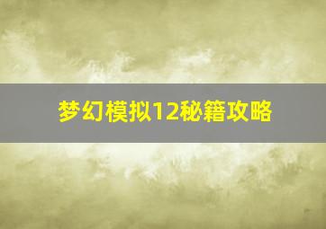 梦幻模拟12秘籍攻略