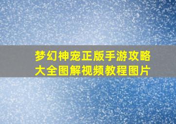 梦幻神宠正版手游攻略大全图解视频教程图片