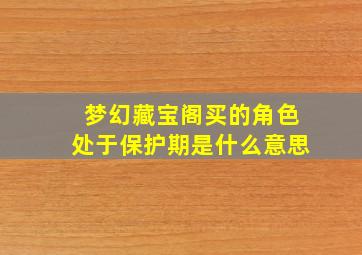 梦幻藏宝阁买的角色处于保护期是什么意思