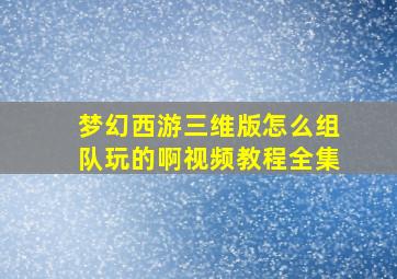 梦幻西游三维版怎么组队玩的啊视频教程全集