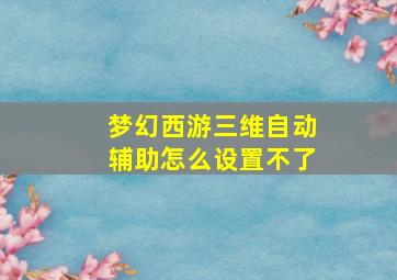 梦幻西游三维自动辅助怎么设置不了