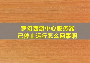 梦幻西游中心服务器已停止运行怎么回事啊