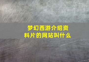 梦幻西游介绍资料片的网站叫什么